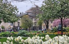 St Andrew Square Garden in Spring