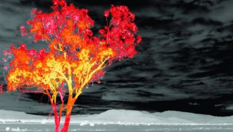 The Day the Sky Turned Black Review