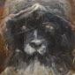 Profile picture for user webmaster