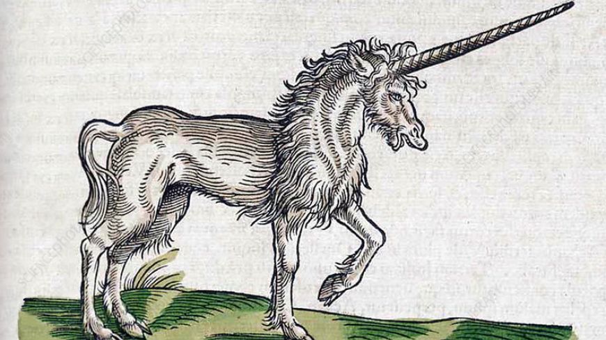 uNICORN