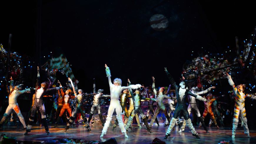 Cats (2016), Edinburgh Playhouse, Review