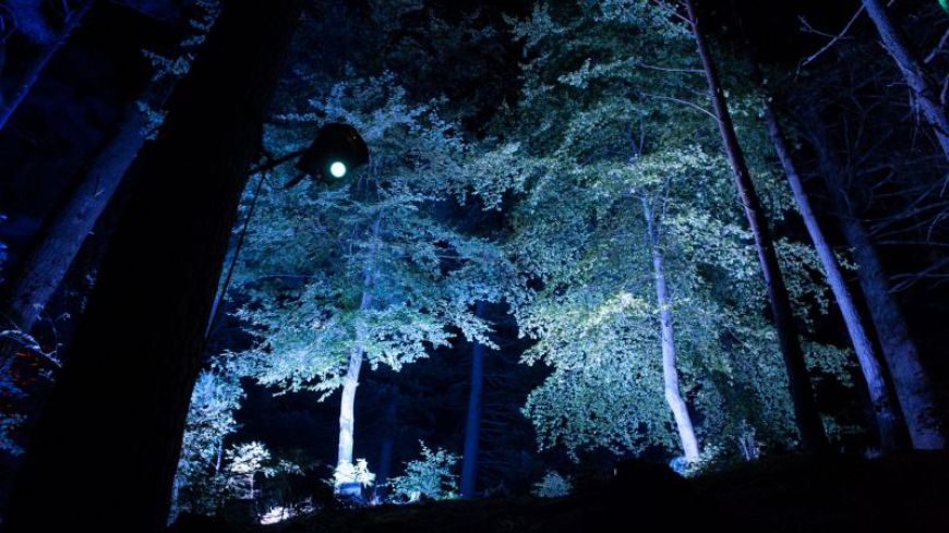 The Enchanted Forest, Faskally Wood Pitlochry, Review