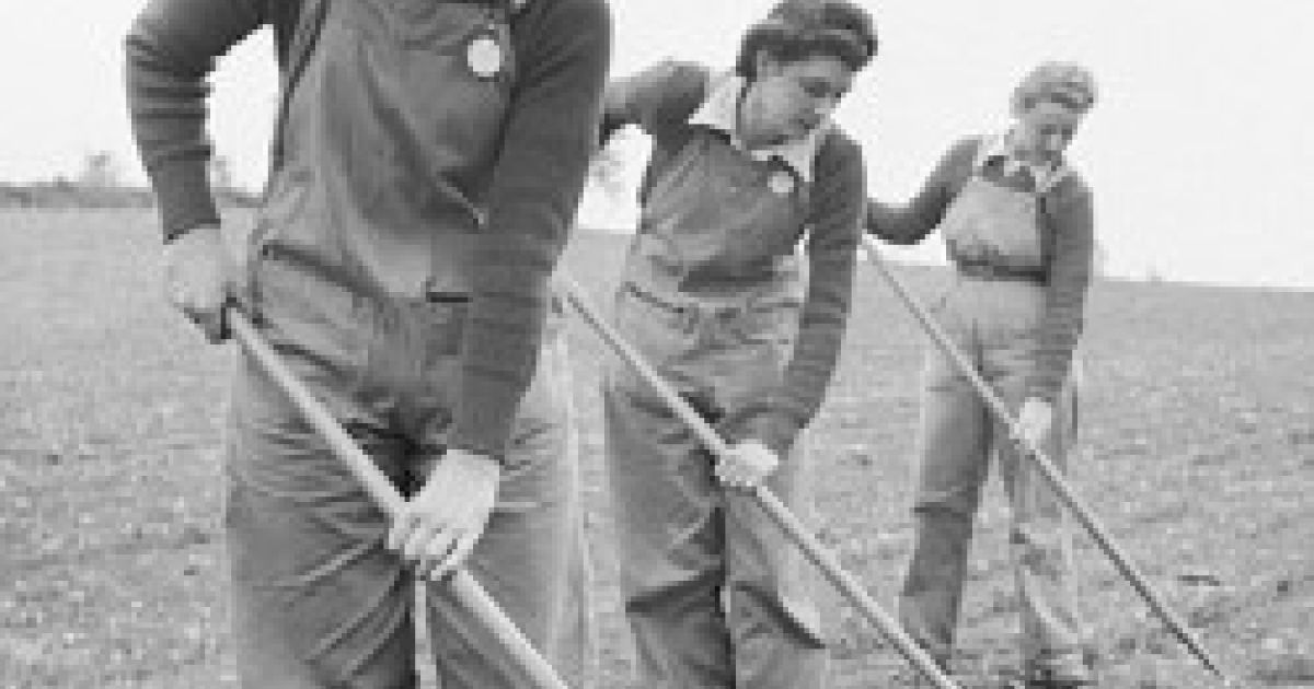 Black and white photo of three land girls pictured with hoes, in a field